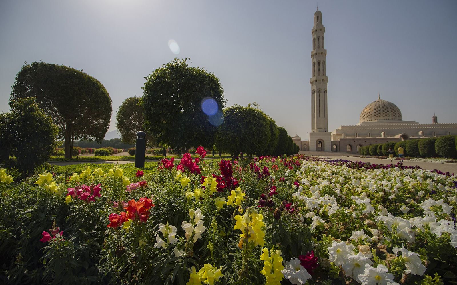 Oman from Saudi Arabia