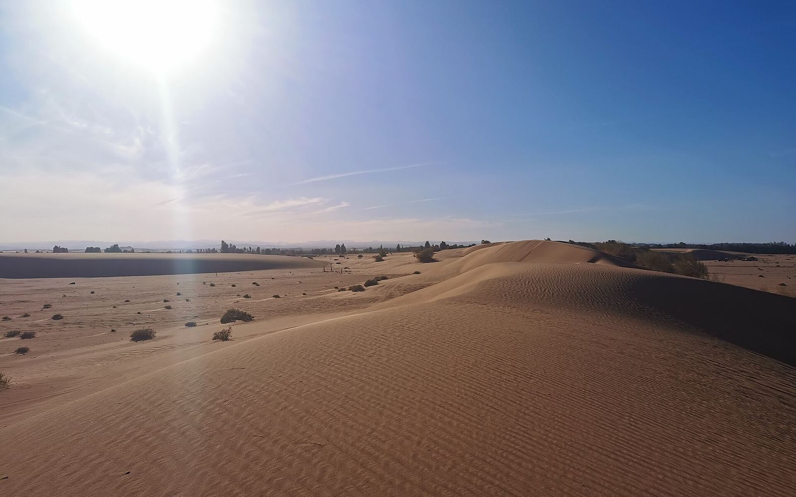 Tabuk and NEOM